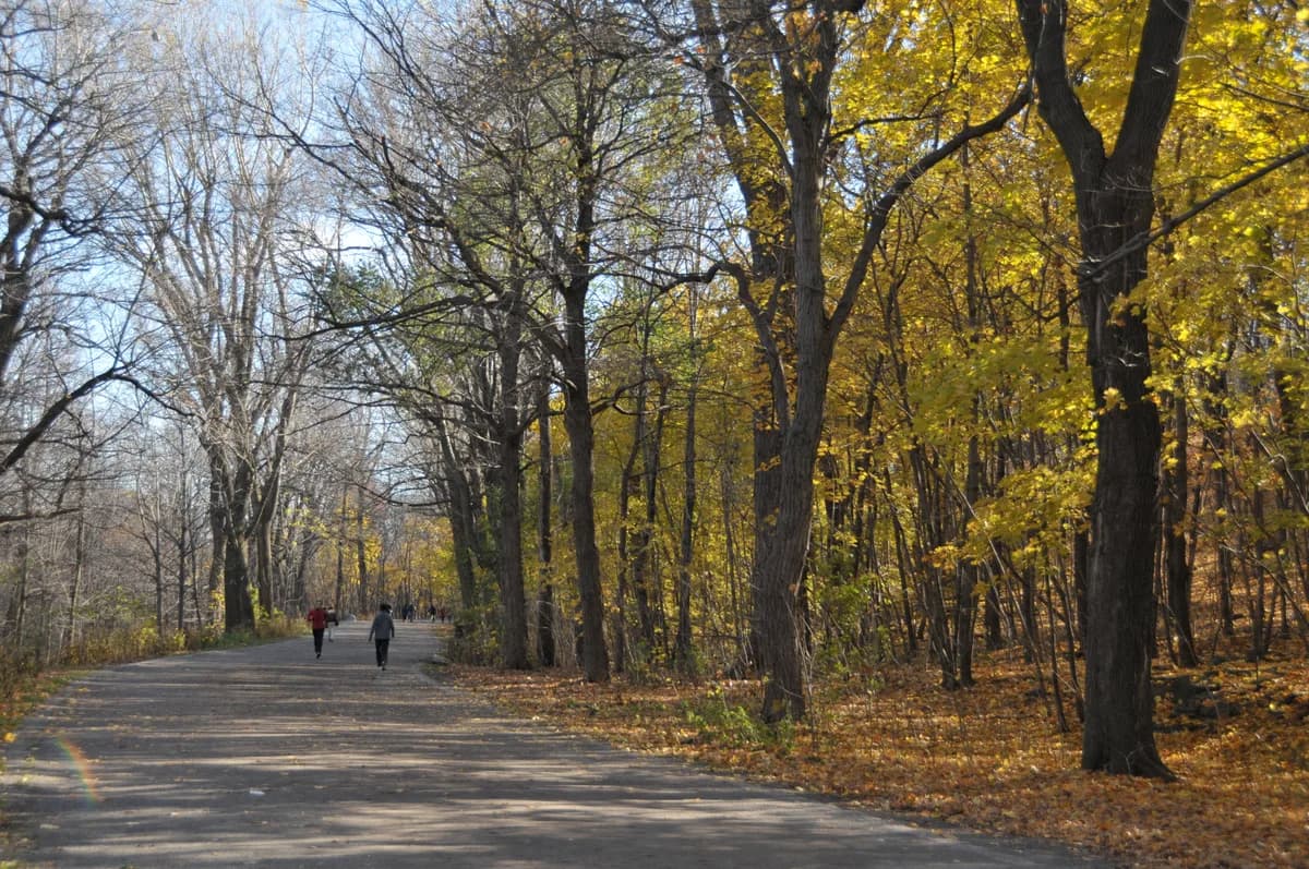 Parc du Mont-Royal